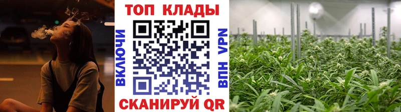 Купить закладку Бошки Шишки  А ПВП  ГАШИШ  Меф  Губкинский