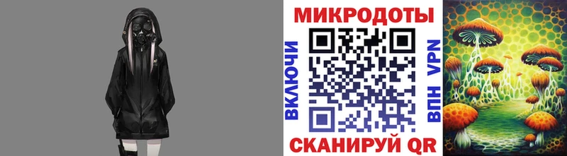Купить где  Губкинский  Галлюциногенные грибы MAGIC MUSHROOMS 